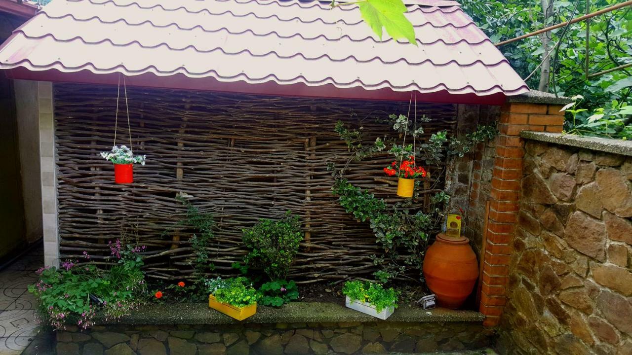 Green House In บาทูมิ ภายนอก รูปภาพ